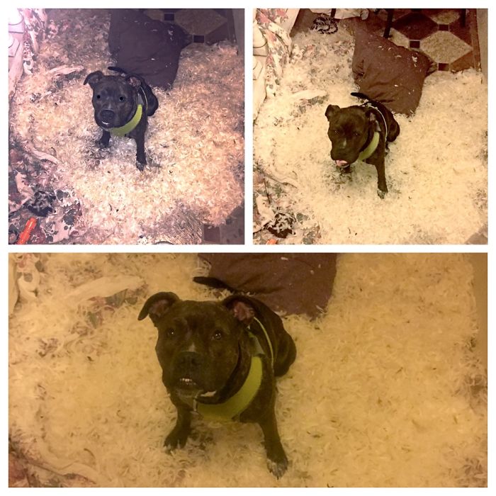 Note To Self: No Feather Pillows For Babygirl!!!