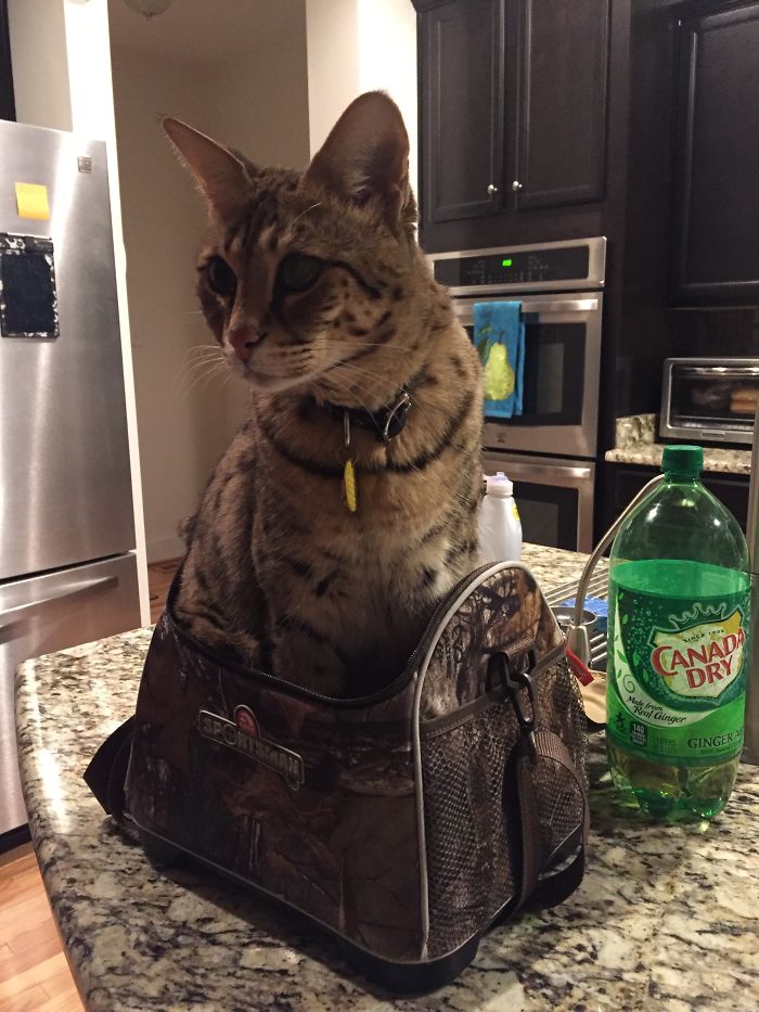 Take Me Out To Lunch