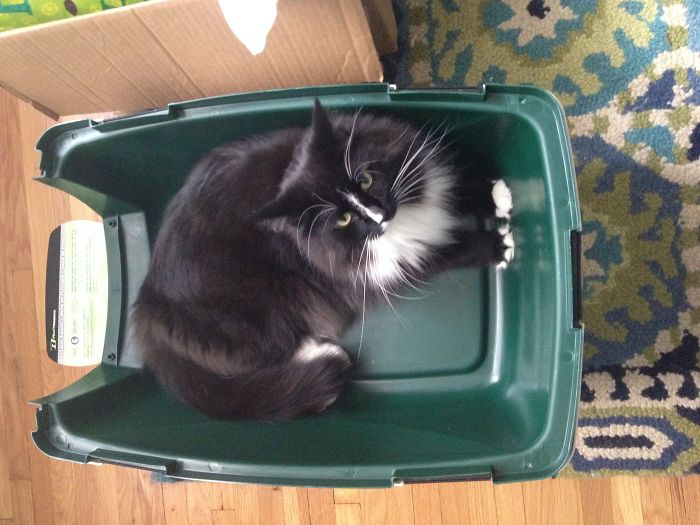 Spock Loves His Un-assembled Carrier (aka The Shuttle Craft)