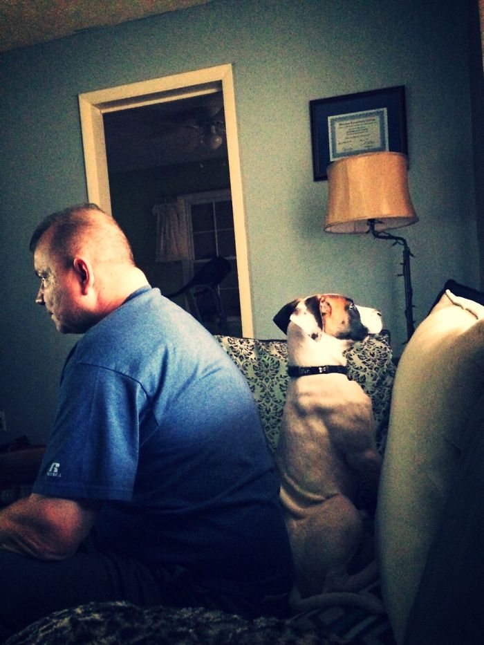 Rory's Bird Watching By His Dad's Side