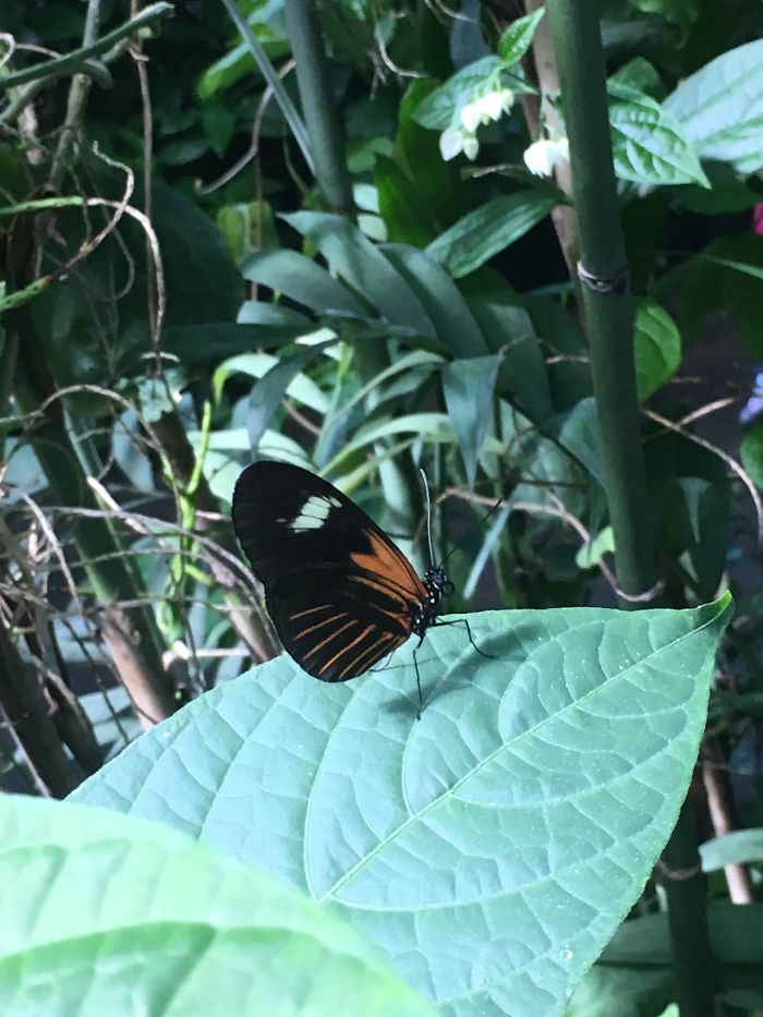 Pictures From Around My Hometown