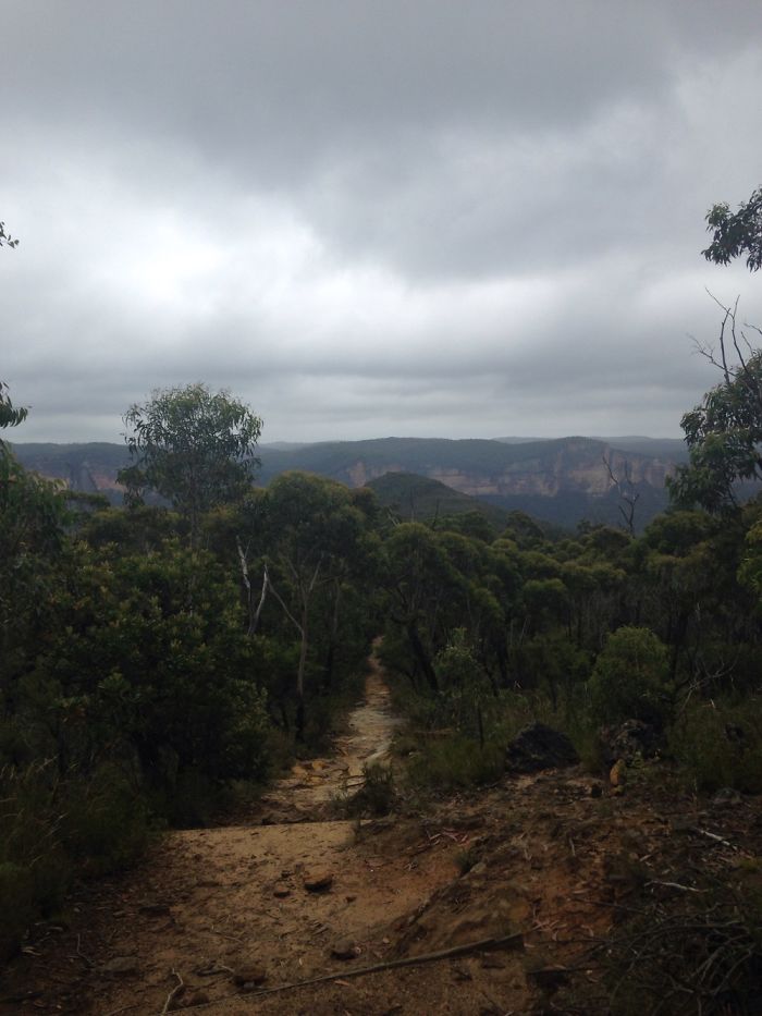 The Blue Mountains In Australia
