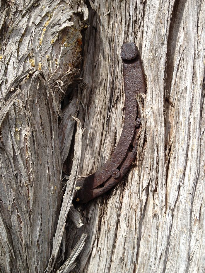 The Power Of Growth .....