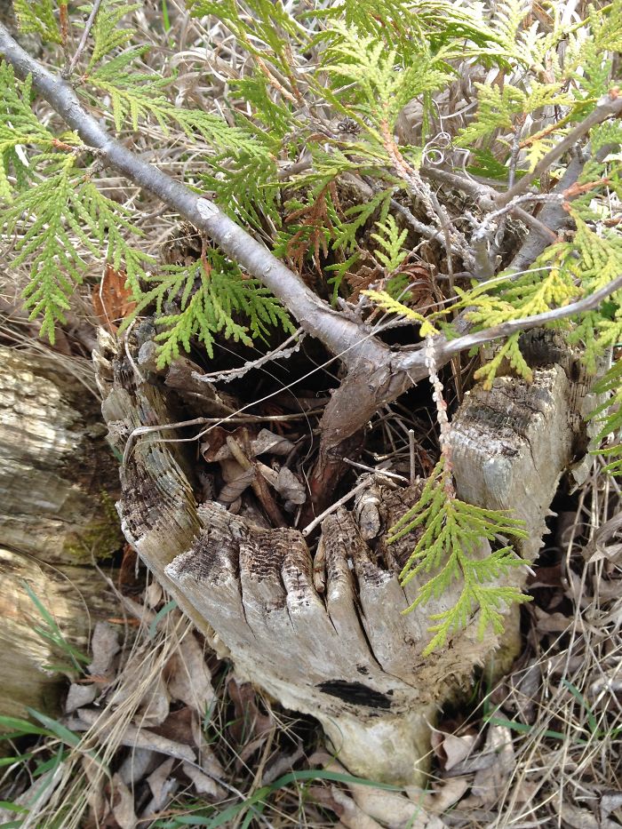 Starting Over, With A Little Help From My Friend .....