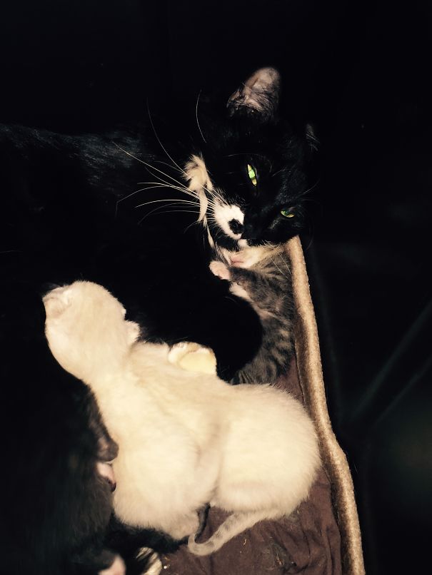 Six!?! Really?!? Fml!