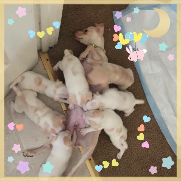 When Your Kids Attack And Stop You Strolling Full Stop In The Middle Of The Door Way