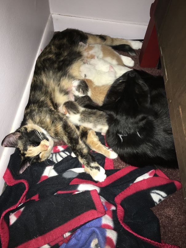 One Mommy And One Helper....