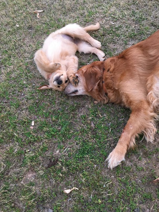 Two Heads Together Are Better Than One