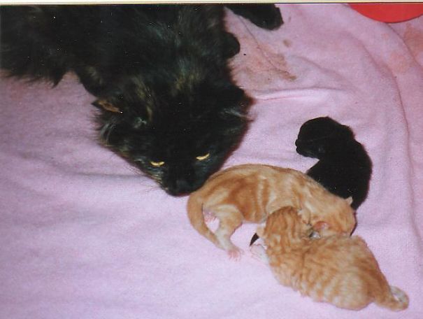 Thank God That Is Over