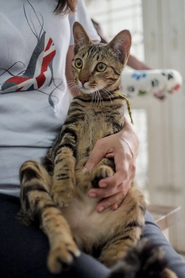 Miu" Before Disappearing