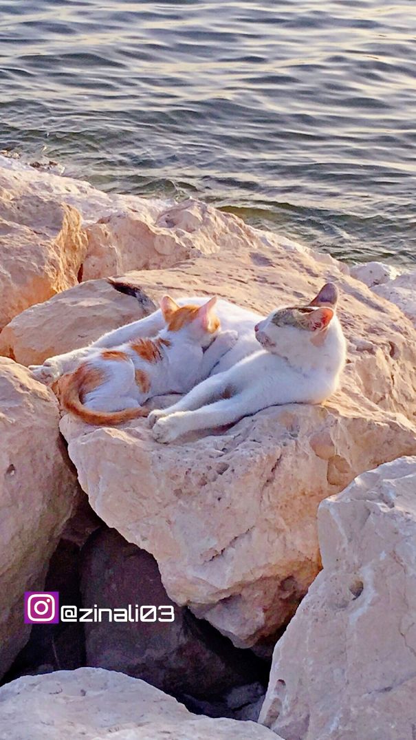 In Qatif Sea , Saudi Arabia