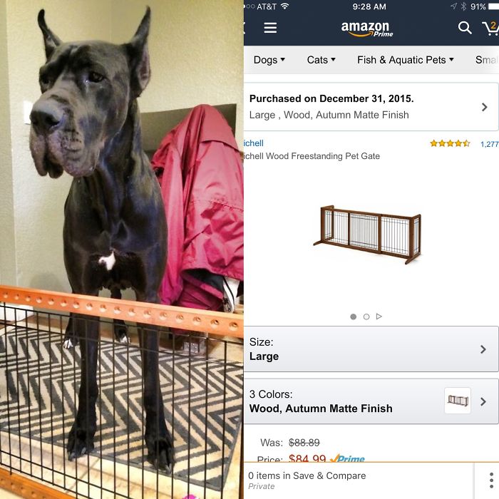 Large dog beside a small wooden pet gate from an online purchase, exemplifying buyer's regret.