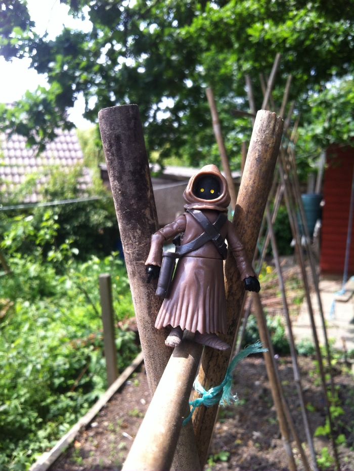 Jawa Begins A New Career Of Gardening