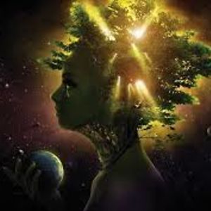 wcardenas_ahu avatar