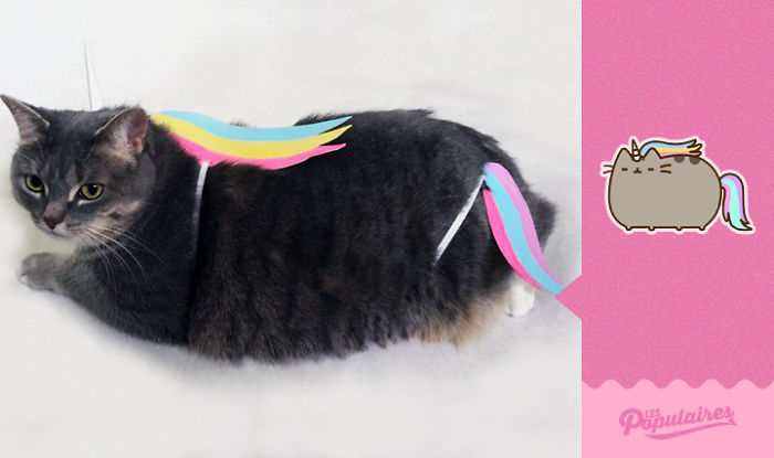 The Supersonic Unicorn