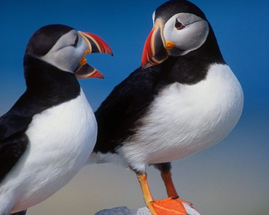 light-my-fire-couple-talk