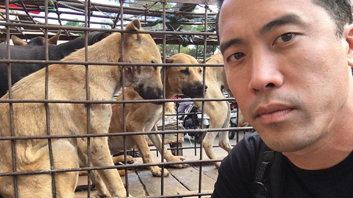 man-saves-1000-dogs-meat-festival-yulin-marc-ching-china-5 man-saves-1000-dogs-meat-festival-yulin-marc-ching-china-5