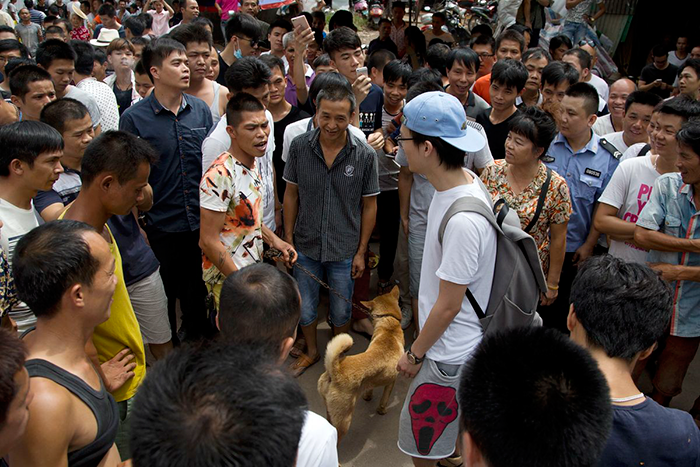 man-saves-1000-dogs-meat-festival-yulin-marc-ching-china-8 man-saves-1000-dogs-meat-festival-yulin-marc-ching-china-8