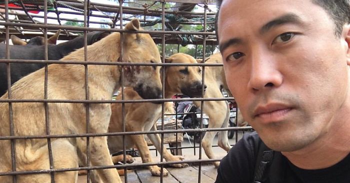 This Man Just Saved 1000 Dogs From Yulin Meat Festival Despite Being Beaten For This