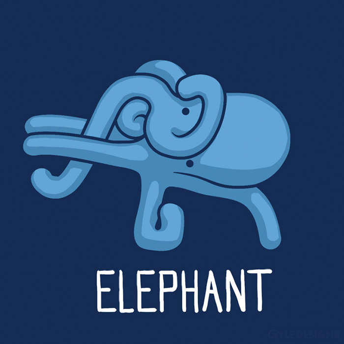 Definitely Not An Octopus