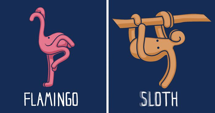 12 Animals (That Are Definitely Not an Octopus)