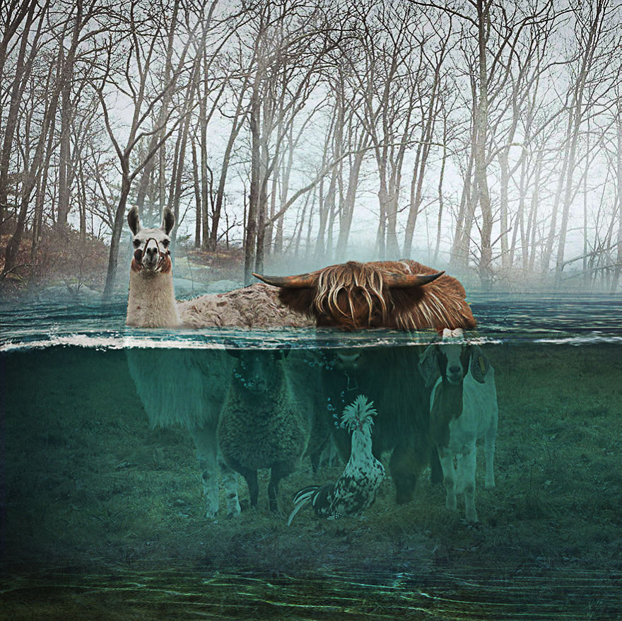 Keep Calm! Don't Move!