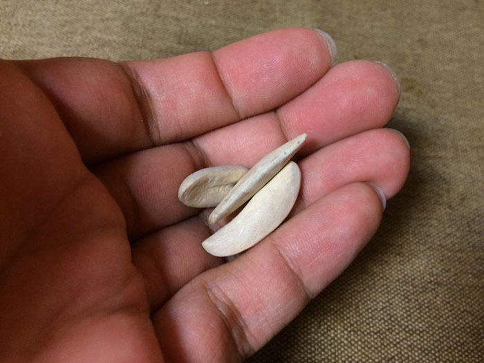 realistic-food-art-wood-carving-seiji-kawasaki-22