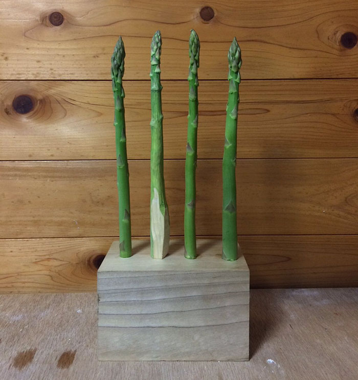 realistic-food-art-wood-carving-seiji-kawasaki-73 realistic-food-art-wood-carving-seiji-kawasaki-73