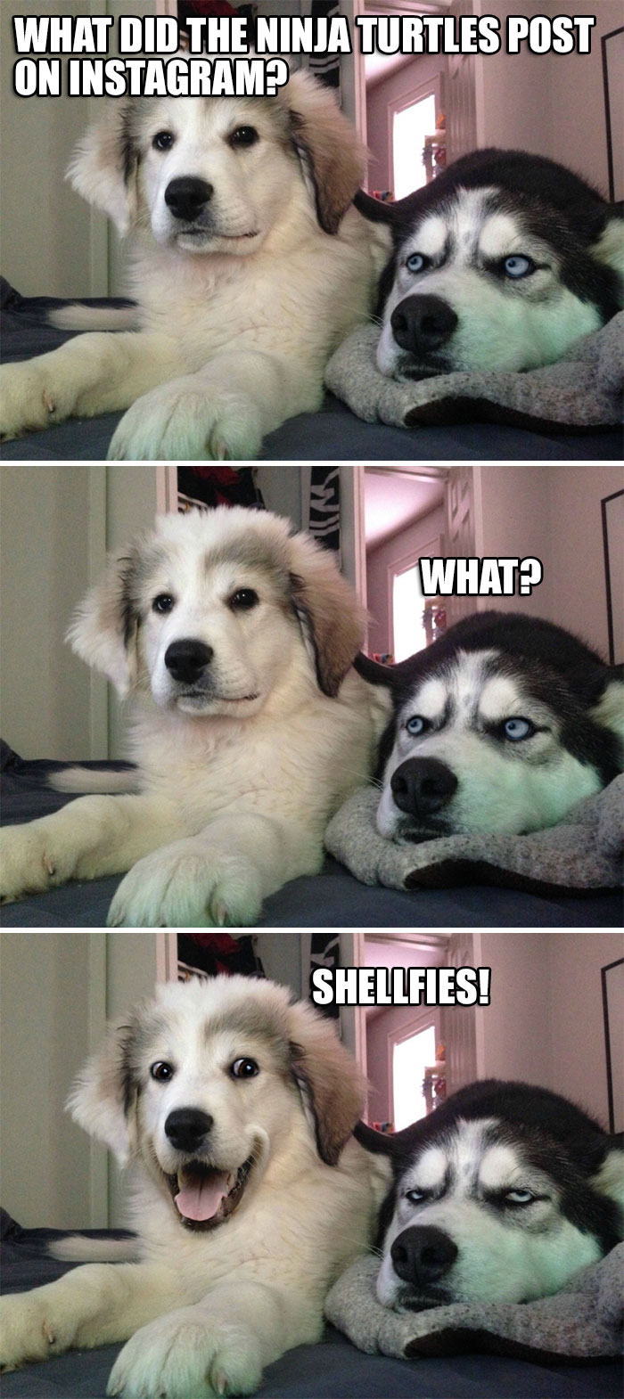 Ninja Turtles On Instagram