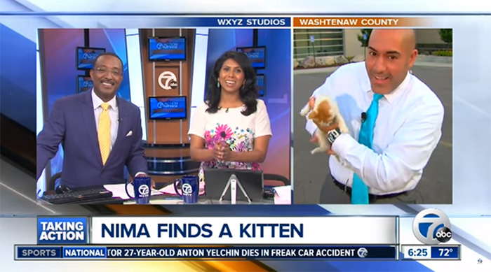 stray-kitten-interrupts-reporter-live-shot-lucky-13