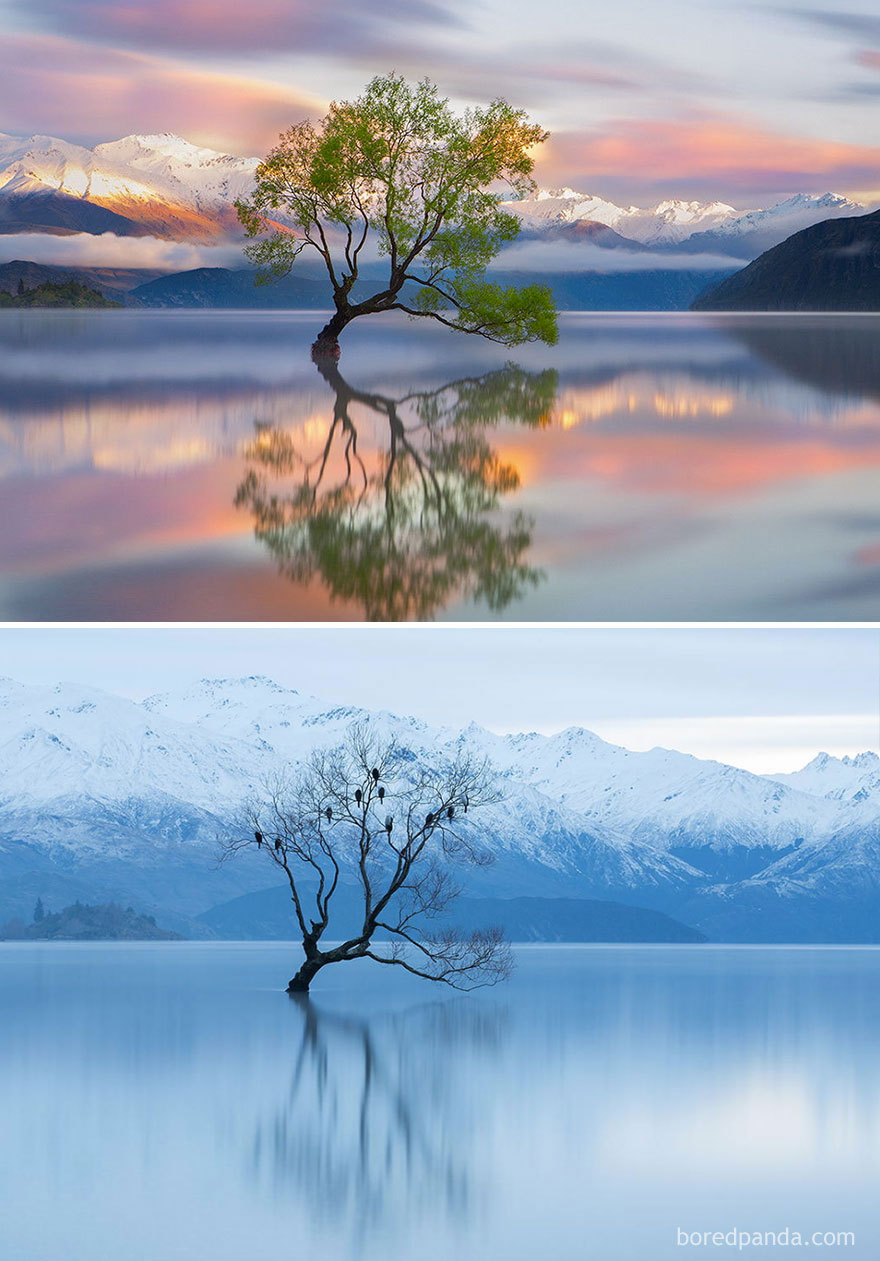 Lake Wanaka, New Zealand