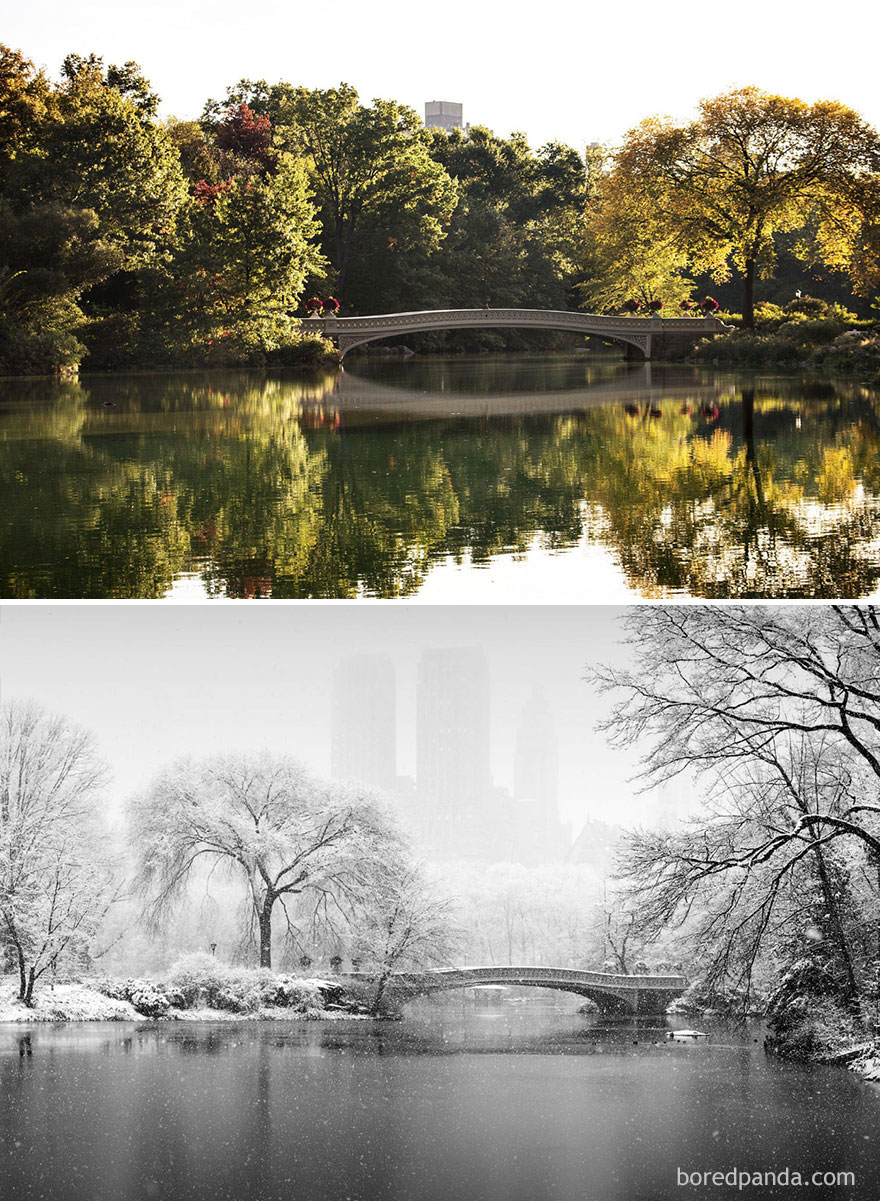 Central Park, New York, USA