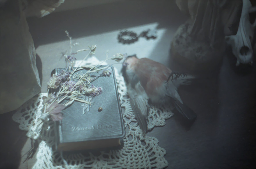 surreal-photography-people-taxidermy-laura-makabresku-7
