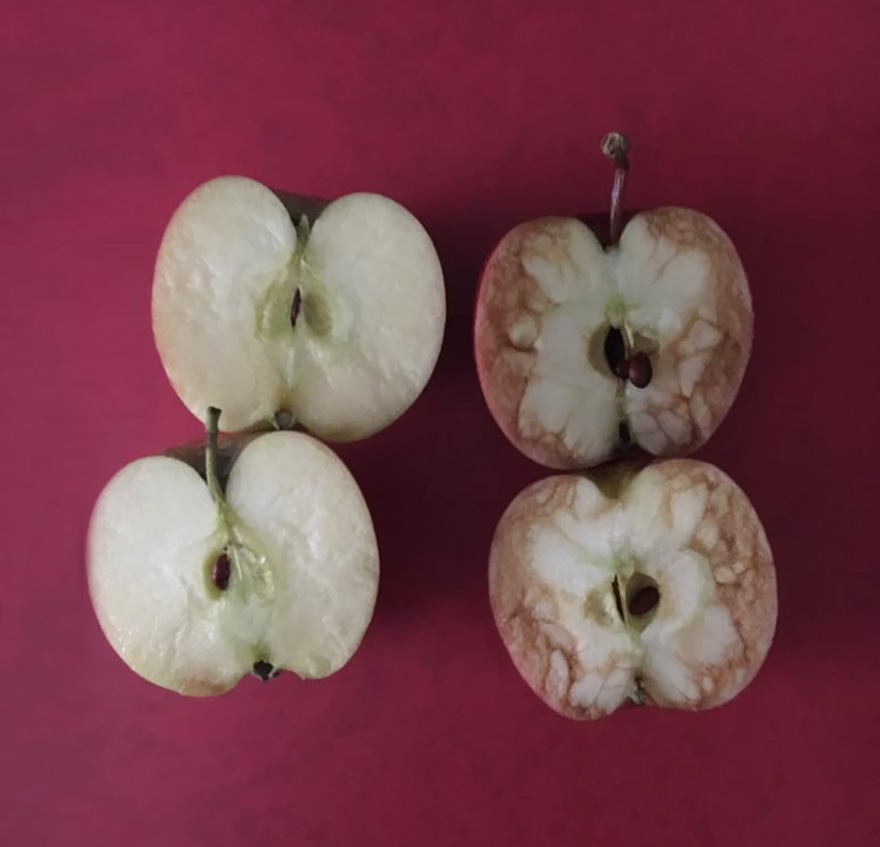 teacher-apple-bullying-lesson-relax-kids-tamworth-2 teacher-apple-bullying-lesson-relax-kids-tamworth-2