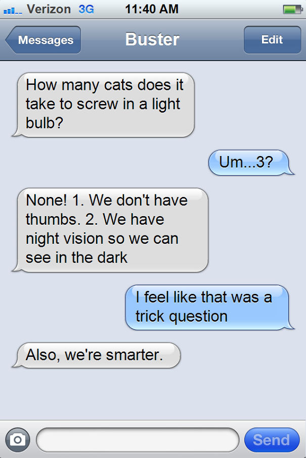 Texts From My Cats