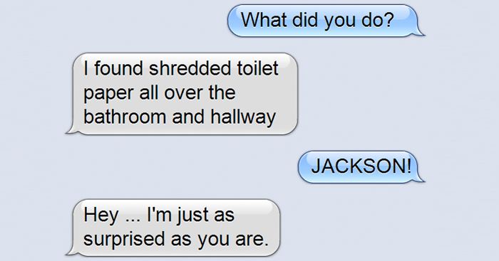 What If Cats Could Text? Woman Shares Conversations With Her 3 Rescued Cats