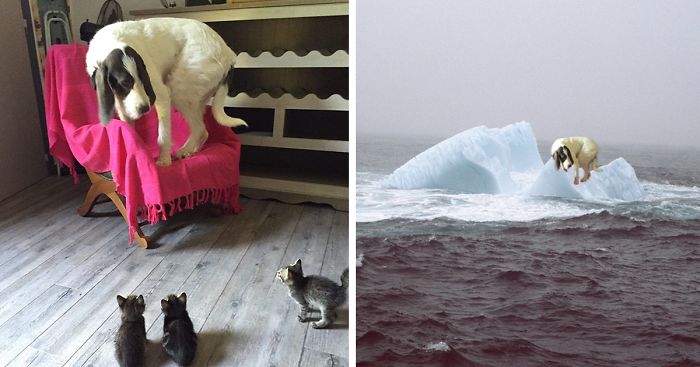 This Photo Is Clearly Photoshopped. Show Us What Really Happened!