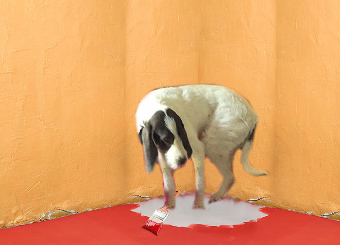 He Simply Did Not Think It Through