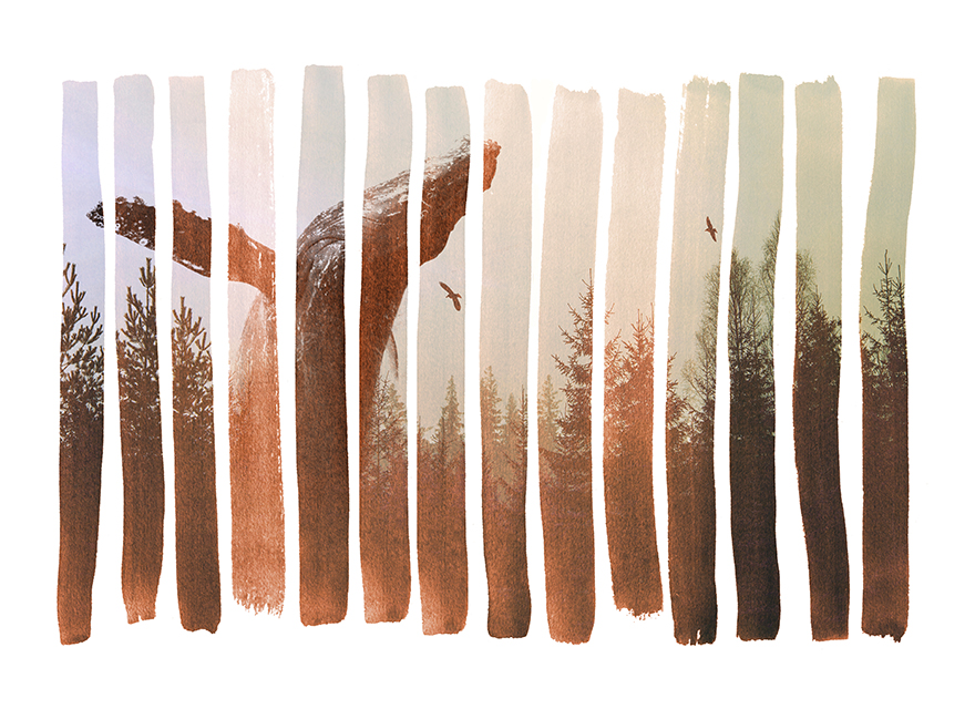 My Surreal Digital Artwork Inspired By Nature And The Ocean