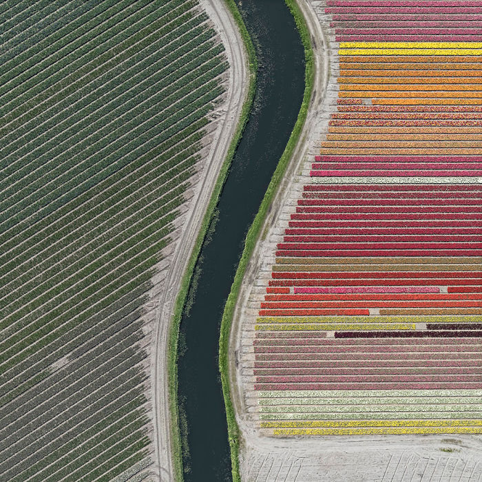 Colourful Patterns Of Tulip Fields In Netherlands Colourful Patterns Of Tulip Fields In Netherlands
