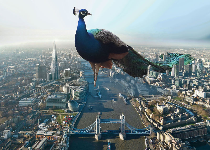 What If Enormous Animals Lived In Our Cities