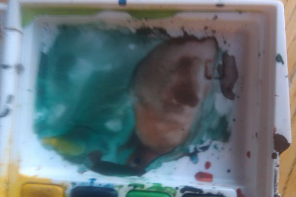 When My Water Color Palette Becomes A Face.