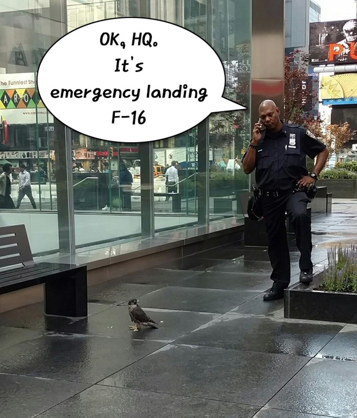 F-16 Fighting Falcon