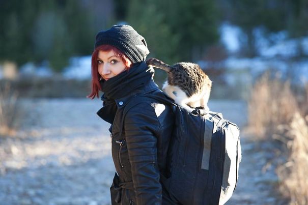 Tara Mountain, Serbia