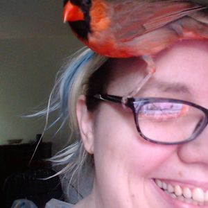 5533c3d796253 avatar