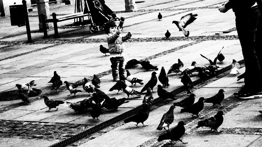 Life Is Beautiful Life Is Beautiful