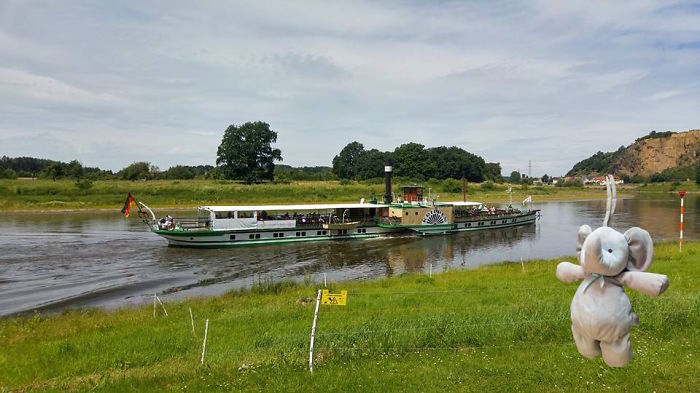 Im Schönen Elbtal Bei Riesa/sachsen