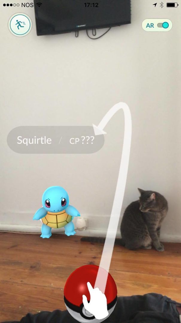 Cat observing a Squirtle in Pokémon Go AR mode, suggesting pets can see Pokémon too.