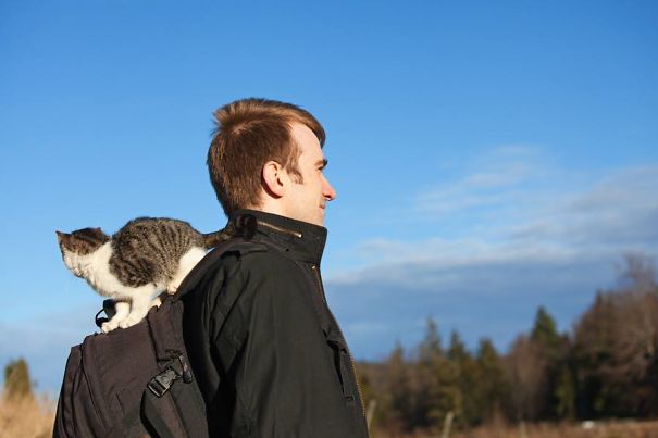 Tara Mountain, Serbia