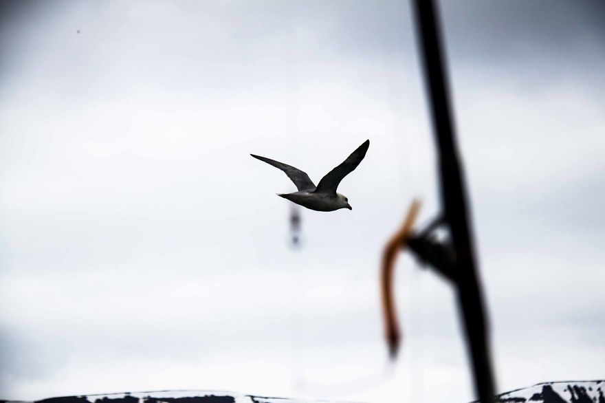 We Chose Iceland As Our Holiday Destination And Photographed Our Days There